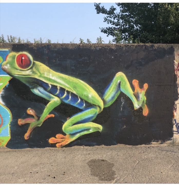 Frog wall painting